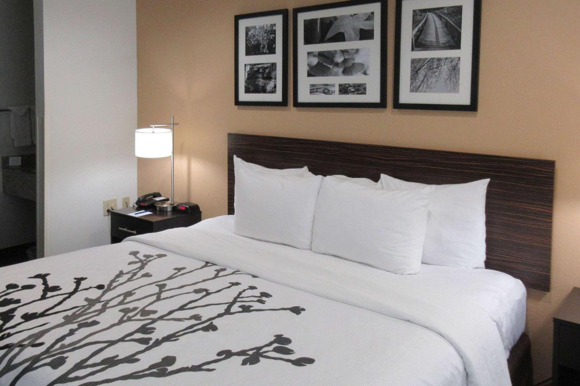 Sleep Inn Lexington Eksteriør billede